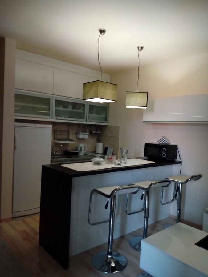 ג'אגודינה Apartman Zvezda מראה חיצוני תמונה